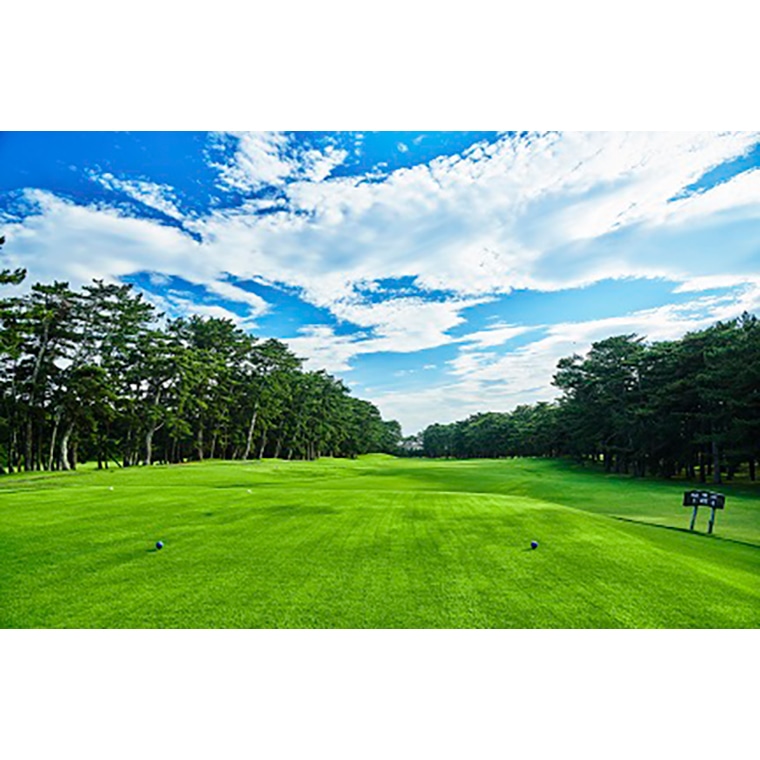 【倶楽部会員限定】 大洗ゴルフ倶楽部 土日祝日プレー券(ビジター用)　ゴルフ場 利用券