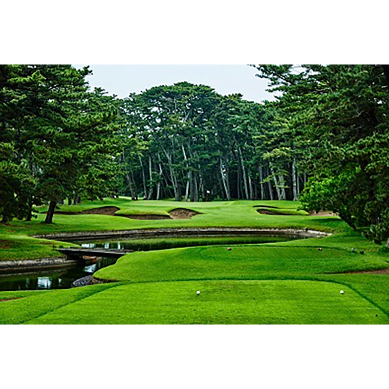 【倶楽部会員限定】 大洗ゴルフ倶楽部 土日祝日プレー券(ビジター用)　ゴルフ場 利用券