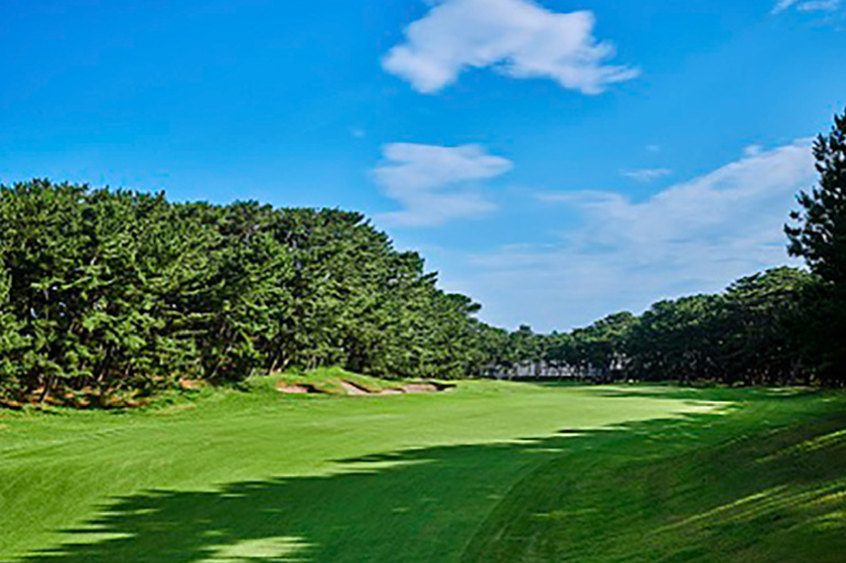 【倶楽部会員限定】 大洗ゴルフ倶楽部 全日プレー券 (メンバー用) ゴルフ場 利用券