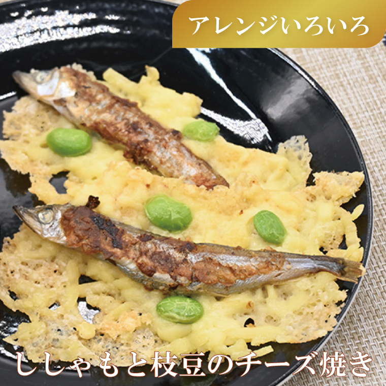 ししゃも 子持ち カラフトシシャモ 特大 40尾（20尾×2箱） 子持ちシシャモ カラフトししゃも 大洗