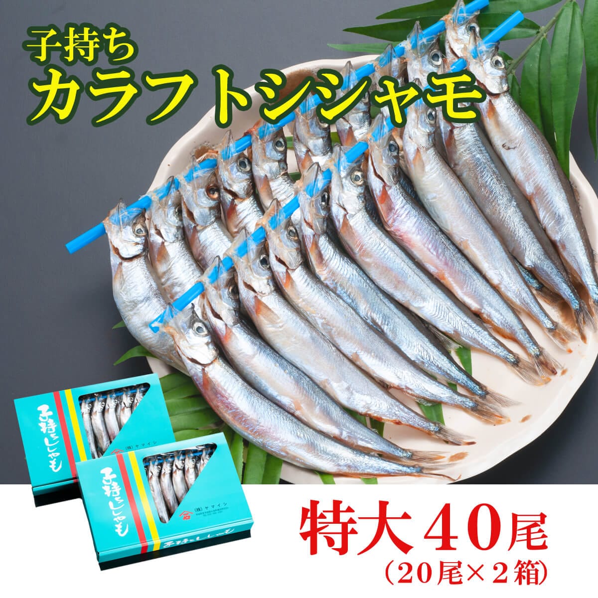 ししゃも 子持ち カラフトシシャモ 特大 40尾（20尾×2箱） 子持ちシシャモ カラフトししゃも 大洗