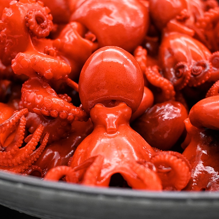 味付けチビたこ からし風味 800ｇ 2箱 やまさん商店 たこ 蛸 ピリ辛 ちびだこ つまみ 珍味 