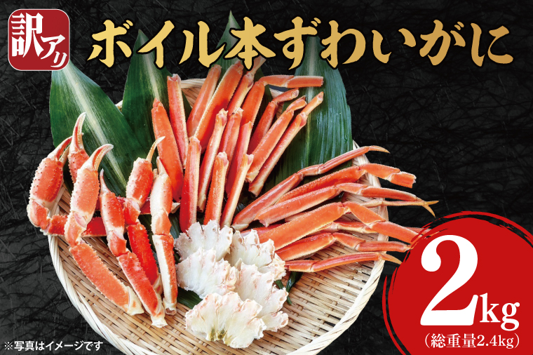 訳あり ボイル 本ずわいがに 総重量 2.4kg ( 内容量 2kg ) < 数量限定 > < 工場直送 > 規格外 折れ 足 肩 訳アリ わけあり カジマ ずわい蟹 ズワイガニ かに カニ 蟹 カニ足 カニ脚 カニ肩 カニ爪 ずわい 鍋 魚介 海鮮