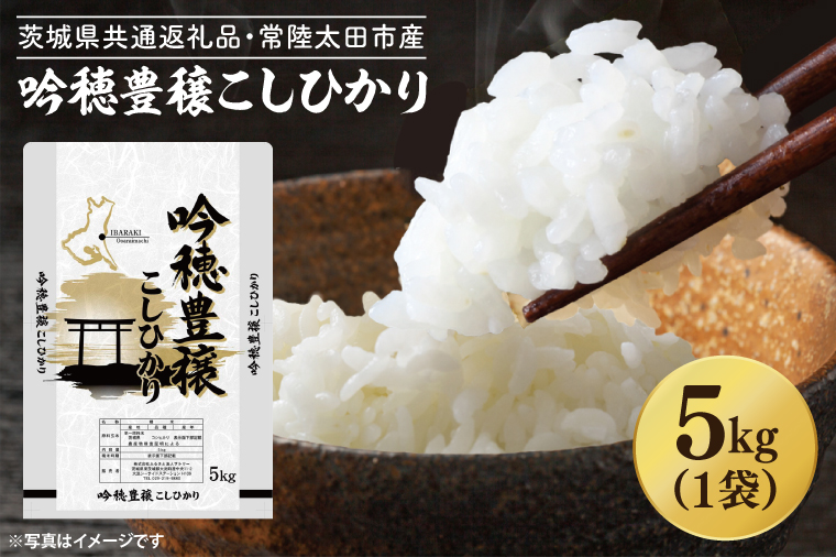 ＜令和6年産＞吟穂豊穣こしひかり 5kg 精米 特別栽培 (茨城県共通返礼品・常陸太田市産) コシヒカリ こしひかり 米 ごはん コメ お米 白米 国産 茨城県産
