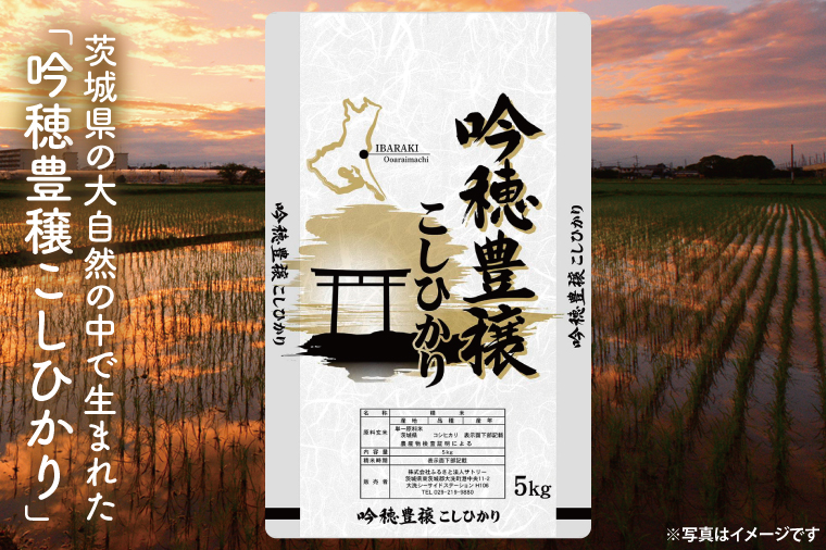 【3ヵ月定期便】＜令和6年産＞ 新米 吟穂豊穣こしひかり 5kg ×3ヵ月 精米 特別栽培 (茨城県共通返礼品・常陸太田市産) 新米 コシヒカリ こしひかり 米 ごはん コメ お米 白米 国産 茨城県産 定期便