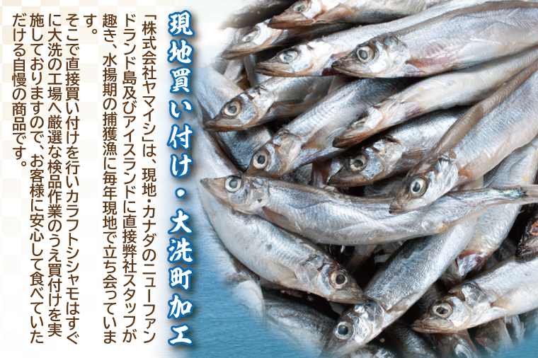 【定期便】 子持ち カラフトシシャモ ２kg (500g×4袋) 訳アリ シシャモ ししゃも カラフトししゃも 大洗 規格外 訳あり わけあり 傷 半年お届け（2ヶ月に1度 ２kg × 3回 お届け ）