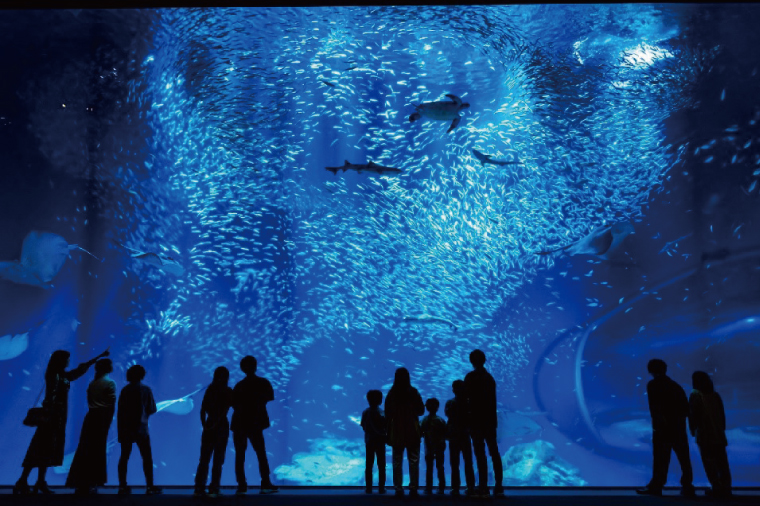 アクアワールド茨城県大洗水族館 年間パスポート 引換券 小・中学生1名 オリジナルパスポートケース セット 大洗 チケット 券 アクアワールド 水族館 年パス パスケース 雑貨