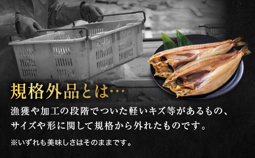 訳あり ほっけ 干物 規格外 2kg （500g×4袋） 不揃い 傷 訳アリ わけあり 業務用 冷凍 海鮮 魚介類 魚 さかな 工場直送