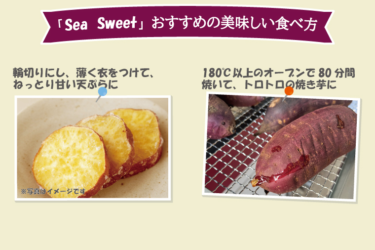 【先行予約】 大洗産 さつまいも 紅はるか 2.5kg （8本前後） 「Sea Sweet」 長期熟成 茨城県産 サツマイモ 土付き 生芋 芋 さつま芋 薩摩芋 甘藷 べにはるか