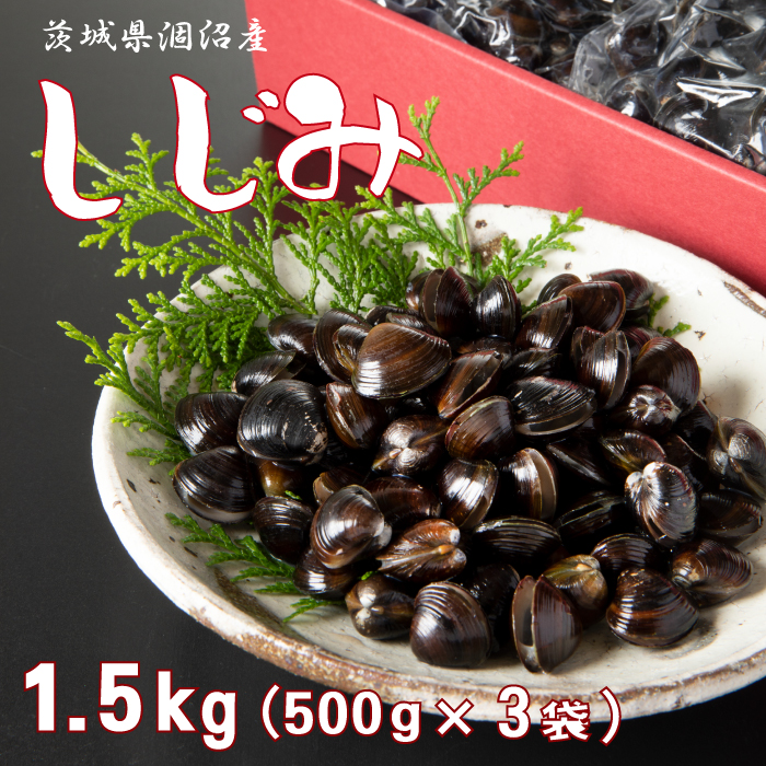 冷凍しじみ 1.5kg （500g × 3袋） 茨城県 涸沼産 カジマ シジミ 大和 しじみ 蜆 小分け