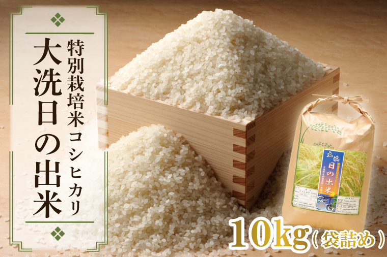 米 10kg 低農薬米 大洗 日の出米 コシヒカリ 令和6年産 特別栽培米 コメ こめ 送料無料