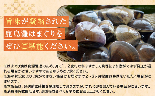 大洗産鹿島灘天然はまぐり 3kg 冷蔵 お吸い物 ハマグリ 蛤 貝 砂抜き処理 魚介類 大洗産 天然 はまぐり