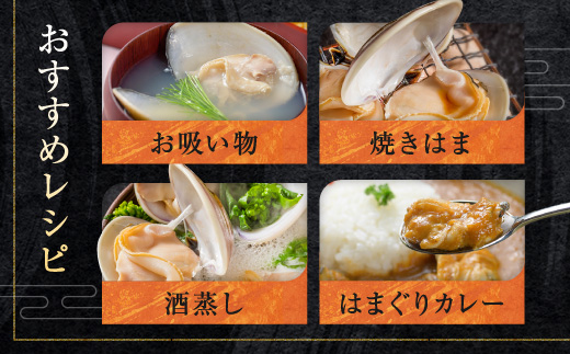 大洗産鹿島灘天然はまぐり 3kg 冷蔵 お吸い物 ハマグリ 蛤 貝 砂抜き処理 魚介類 大洗産 天然 はまぐり