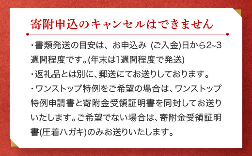 味付けチビたこ からし風味 800ｇ やまさん商店 たこ 蛸 ピリ辛 ちびだこ つまみ 珍味 