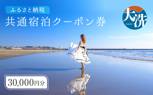 大洗町 共通 宿泊 クーポン 30,000円分（3,000円×10枚） 関東 茨城