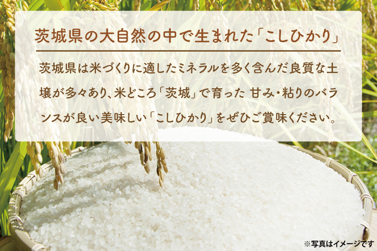 ＜令和7年産＞ 吟穂豊穣こしひかり 4kg (2kg×2袋) 精米 コシヒカリ こしひかり 米 ごはん コメ お米 白米 国産 茨城県産