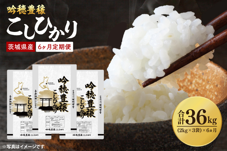【6ヵ月定期便】 ＜令和7年産＞ 吟穂豊穣こしひかり 6kg ( 2kg 3袋 ) ×6ヵ月 精米 コシヒカリ こしひかり 米 ごはん コメ お米 白米 国産 茨城県産