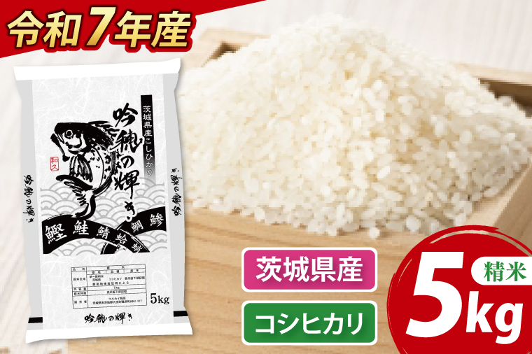 ＜令和７年産＞ コシヒカリ 5kg 精米 こしひかり 米 ごはん コメ お米 白米 国産 茨城県産