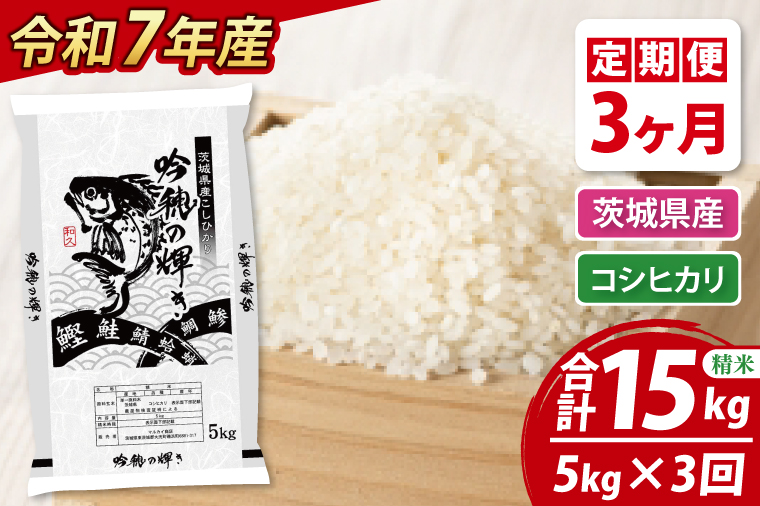 【3ヵ月定期便】 ＜令和７年産＞ コシヒカリ 5kg × 3ヵ月 精米 こしひかり 米 ごはん コメ お米 白米 国産 茨城県産