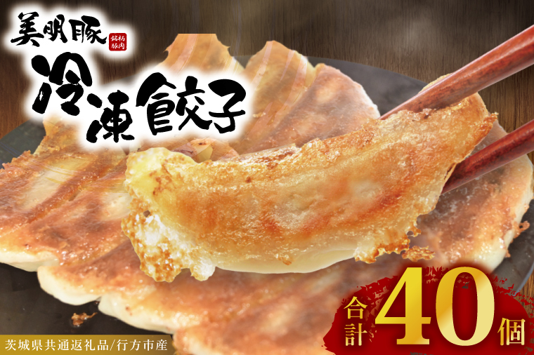 冷凍餃子 40個（20個×2袋） ブランド豚 「 美明豚 」（茨城県共通返礼品・行方市産） 小分け 餃子 ギョウザ 国産 豚肉 野菜 惣菜 おかず フライパン