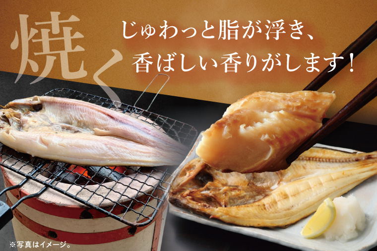 åœç£ çã»ã£ã çŽ2kg (çŽ400gÃ5æïŒ å¹²ç© éã ç空 ãã㯠åå
è£
倧æŽçº ã»ã£ã é éä»é¡ æµ·é®® å·å å·¥å ŽçŽé