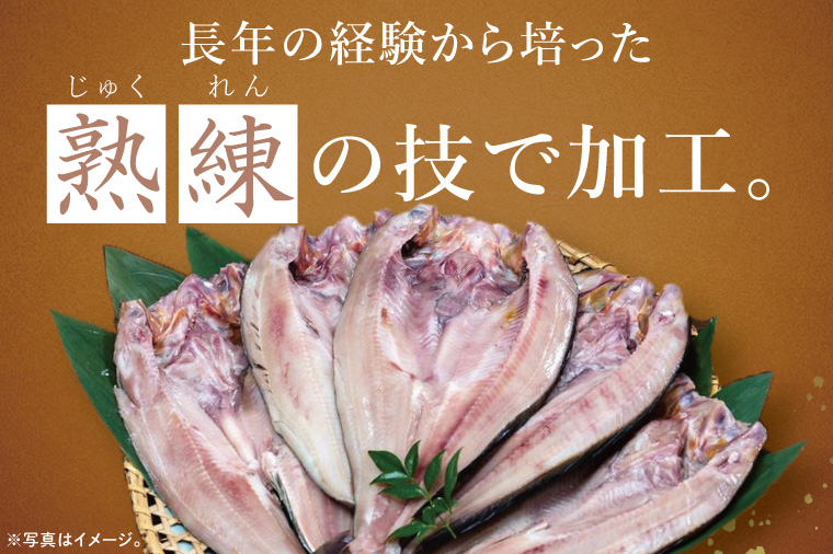 åœç£ çã»ã£ã çŽ2kg (çŽ400gÃ5æïŒ å¹²ç© éã ç空 ãã㯠åå
è£
倧æŽçº ã»ã£ã é éä»é¡ æµ·é®® å·å å·¥å ŽçŽé