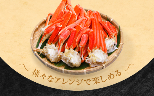 訳あり ボイル ずわいがに 総重量 1kg (内容量 900g)規格外 不揃い 傷 足 訳アリ わけあり 脚折れ 2L～3L 大サイズ 弥七商店 かに弥 ずわい蟹 ズワイガニ かに カニ 蟹 カニ足 脚 ずわい 鍋 数量限定