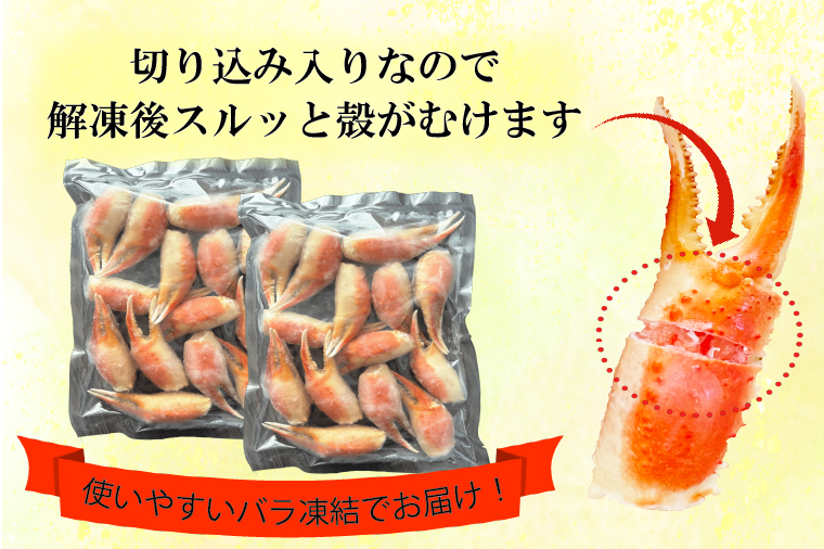 【12月25日決済確定分まで年内発送】 ボイル 本ずわいがに 爪 1kg (500g × 2) カジマ ずわい蟹 ズワイガニ ずわいがに かに カニ 蟹 かに爪 カニ爪