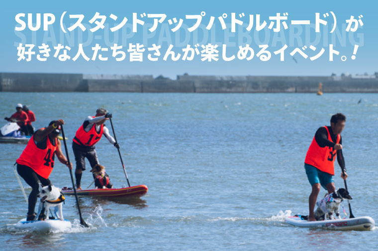 第6回 SUNBEACH CUP （2026年10月11日開催）DOG SUP 駐車場利用（1台）許可証付き サンビーチカップ SUP サップ 大会 出場権 参加券 大洗 サンビーチ