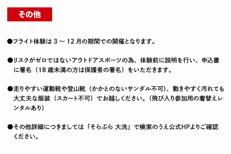 パラグライダー フライト体験 標準コース 大人1名様分 大洗町 観光 体験 アクティビティ