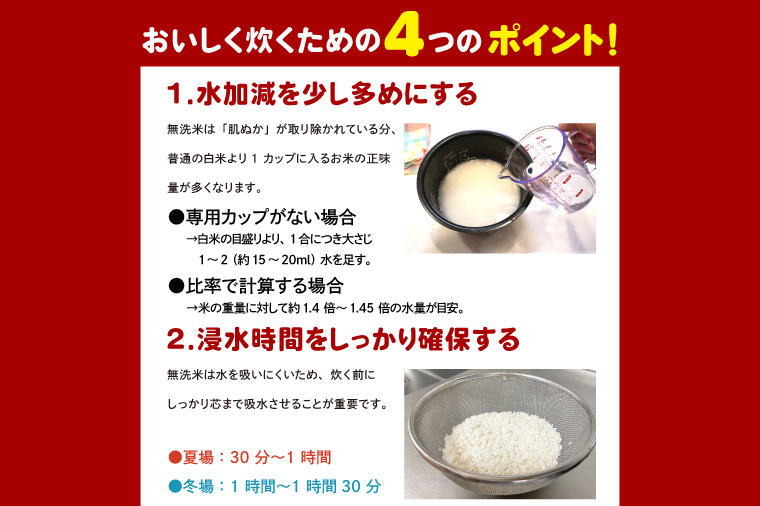 【選べる内容量】 ＜令和7年産＞ 無洗米 こしひかり 2kg タピオカ精米 コシヒカリ こしひかり 米 ごはん コメ お米 白米 精米 精米済み 国産 茨城県産