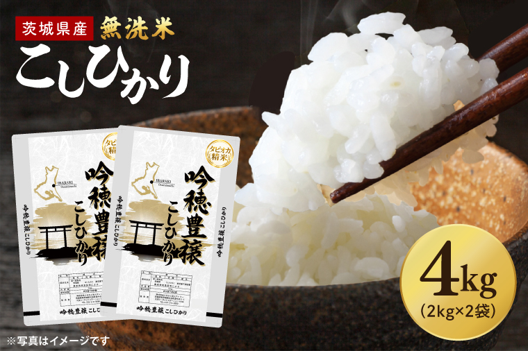 【選べる内容量】 ＜令和7年産＞ 無洗米 こしひかり 4kg タピオカ精米 コシヒカリ こしひかり 米 ごはん コメ お米 白米 精米 精米済み 国産 茨城県産
