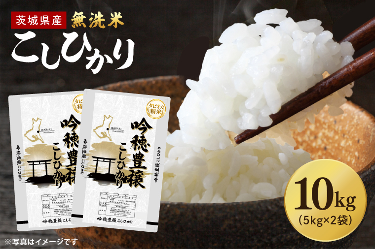 【選べる内容量】 ＜令和7年産＞ 無洗米 こしひかり 10kg タピオカ精米 コシヒカリ こしひかり 米 ごはん コメ お米 白米 精米 精米済み 国産 茨城県産