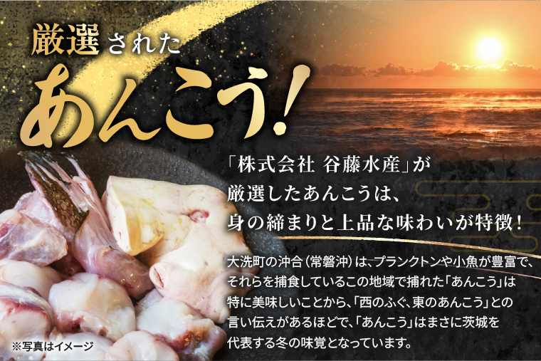 ãããã å身 1.2kg èšå å€§æŽ åç© ã¢ã³ã³ãŠ é®é± é ããè ã³ã©ãŒã²ã³ éä»é¡ å¬ ãåœå°