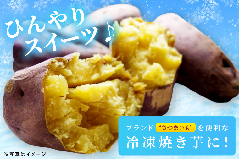 å·åçŒãè ãSea Sweetã 2.5kg åçš®ããŸããè©°ãåãã 3ïœ5çš®é¡ è©°åãã çŽ
ã¯ãã / ãã¿ãŸãã / 玫ãã / çŽ
ãŸãã / çŽ
ãã㟠/ æ ããã ã ç空ãã㯠åå
è£
å·å çŒãè ãã€ãŸãã ãããã ã¹ã€ãŒã ç£å°çŽé
