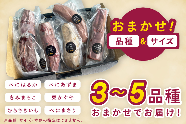 å·åçŒãè ãSea Sweetã 2.5kg åçš®ããŸããè©°ãåãã 3ïœ5çš®é¡ è©°åãã çŽ
ã¯ãã / ãã¿ãŸãã / 玫ãã / çŽ
ãŸãã / çŽ
ãã㟠/ æ ããã ã ç空ãã㯠åå
è£
å·å çŒãè ãã€ãŸãã ãããã ã¹ã€ãŒã ç£å°çŽé