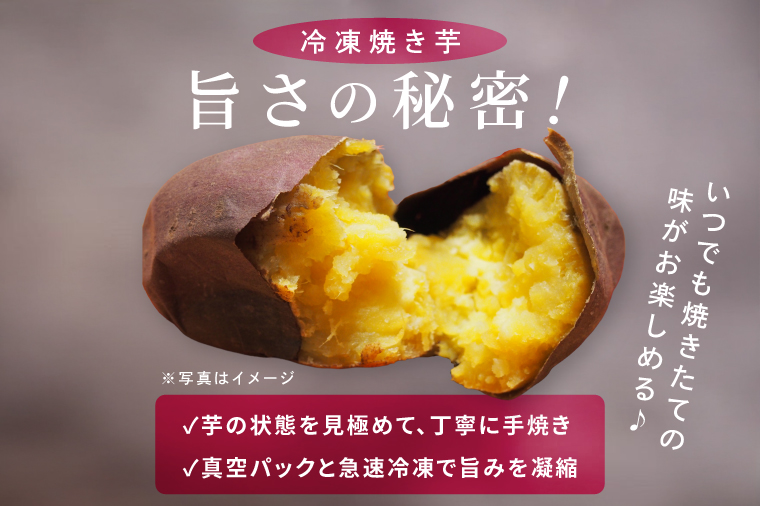 å·åçŒãè ãSea Sweetã 2.5kg åçš®ããŸããè©°ãåãã 3ïœ5çš®é¡ è©°åãã çŽ
ã¯ãã / ãã¿ãŸãã / 玫ãã / çŽ
ãŸãã / çŽ
ãã㟠/ æ ããã ã ç空ãã㯠åå
è£
å·å çŒãè ãã€ãŸãã ãããã ã¹ã€ãŒã ç£å°çŽé