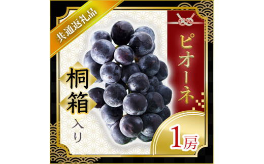 ピオーネ 桐箱入り 1房 ＜2026年7月より順次発送予定＞ (県内共通返礼品:かすみがうら市産) 先行予約 ぶどう ブドウ 葡萄 フルーツ 茨城 新鮮 (BR068)