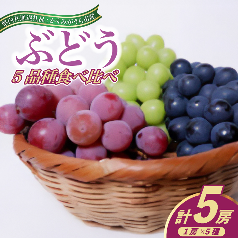 ＜2025年8月より順次発送予定＞ぶどう5品種食べ比べ(県内共通返礼品:かすみがうら市産) (BR077)