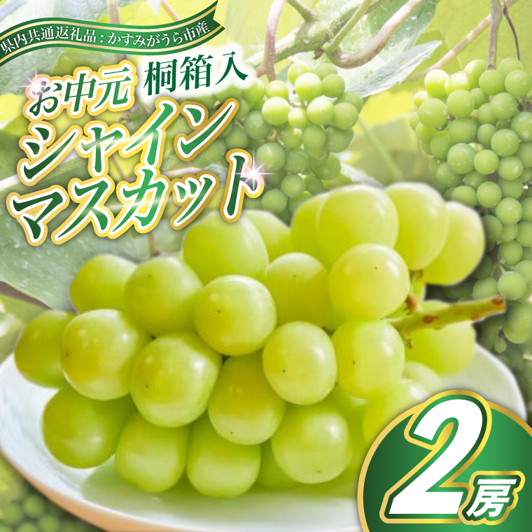 【お中元 熨斗付】 シャインマスカット 桐箱入り 2房 ＜2026年8月より順次発送＞ 先行予約 ギフト 贈答 ぶどう ブドウ 葡萄 フルーツ 茨城 新鮮 (県内共通返礼品:かすみがうら市産) (BR106)