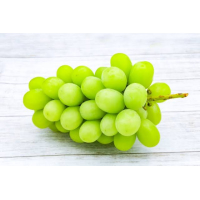 桐箱入りナガノパープル1房・シャイマスカット1房　県内共通返礼品:かすみがうら市産 (BR164)