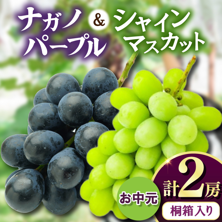 【お中元 熨斗付】 桐箱入り ナガノパープル 1房・シャイマスカット 1房 ＜2026年8月より順次発送＞ (県内共通返礼品:かすみがうら市産) 先行予約 ぶどう ブドウ 葡萄 フルーツ 茨城 新鮮 (BR171)