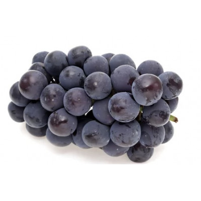 旬なぶどう おまかせ 食べ比べ 700g × 4房 ＜2026年8月より順次発送＞ (県内共通返礼品:かすみがうら市産) シャインマスカット 巨峰 ピオーネ ゴルビー クインニーナ 我が道 先行予約 ぶどう ブドウ 葡萄 フルーツ 茨城 新鮮 (BR185)