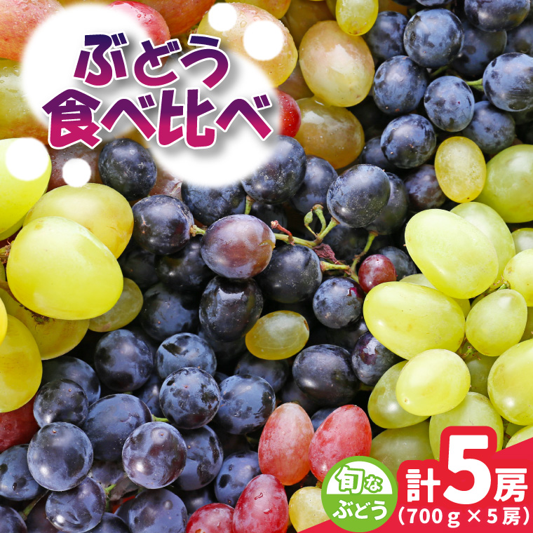 旬なぶどう おまかせ 食べ比べ 700g × 5房 ＜2026年8月より順次発送＞ (県内共通返礼品:かすみがうら市産) シャインマスカット 巨峰 ピオーネ ゴルビー クインニーナ 我が道 先行予約 ぶどう ブドウ 葡萄 フルーツ 茨城 新鮮 (BR186)