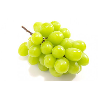 旬なぶどう おまかせ 食べ比べ 700g × 5房 ＜2026年8月より順次発送＞ (県内共通返礼品:かすみがうら市産) シャインマスカット 巨峰 ピオーネ ゴルビー クインニーナ 我が道 先行予約 ぶどう ブドウ 葡萄 フルーツ 茨城 新鮮 (BR186)