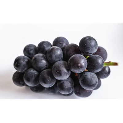 旬なぶどう おまかせ 食べ比べ 700g × 5房 ＜2026年8月より順次発送＞ (県内共通返礼品:かすみがうら市産) シャインマスカット 巨峰 ピオーネ ゴルビー クインニーナ 我が道 先行予約 ぶどう ブドウ 葡萄 フルーツ 茨城 新鮮 (BR186)