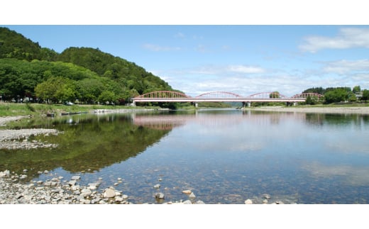 繝代ャ繧ッ 縺秘」ッ 鬟溘∋豈斐∋ 繧サ繝繝 (150g)テ12鬟溷・繧 縺顔アウ 邀ウ 繧ウ繧キ繝偵き繝ェ 繧縺縺縺21 繝ゥ繧、繧ケ繝代ャ繧ッ 繝代ャ繧ッ縺斐ッ繧 縺秘」ッ 鬟溘∋豈斐∋縲宣埼∽ク榊庄蝨ー蝓滂シ夐屬蟲カ縲 (BV001)