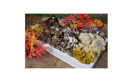 きのこの詰め合わせ　Lサイズ(2.000g) (AU002)