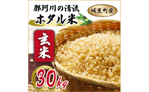 ★☆ 関東地方限定配送 ☆★ 那珂川の清流ホタル米 【玄米】30kg 検査1等 令和7年産コシヒカリ (AX007)