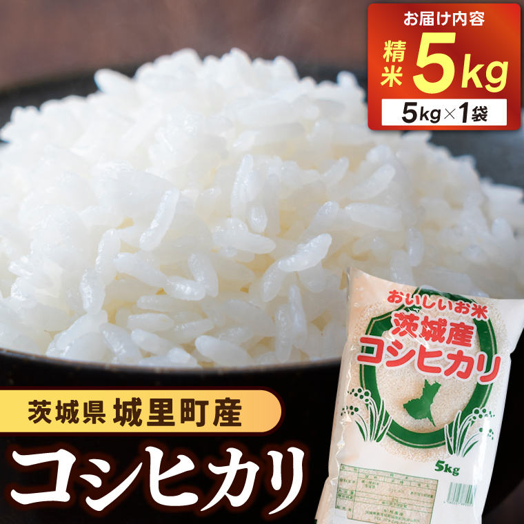 コシヒカリ 5kg お米 令和7年産 精米 ★関東地方限定配送★ AX012
